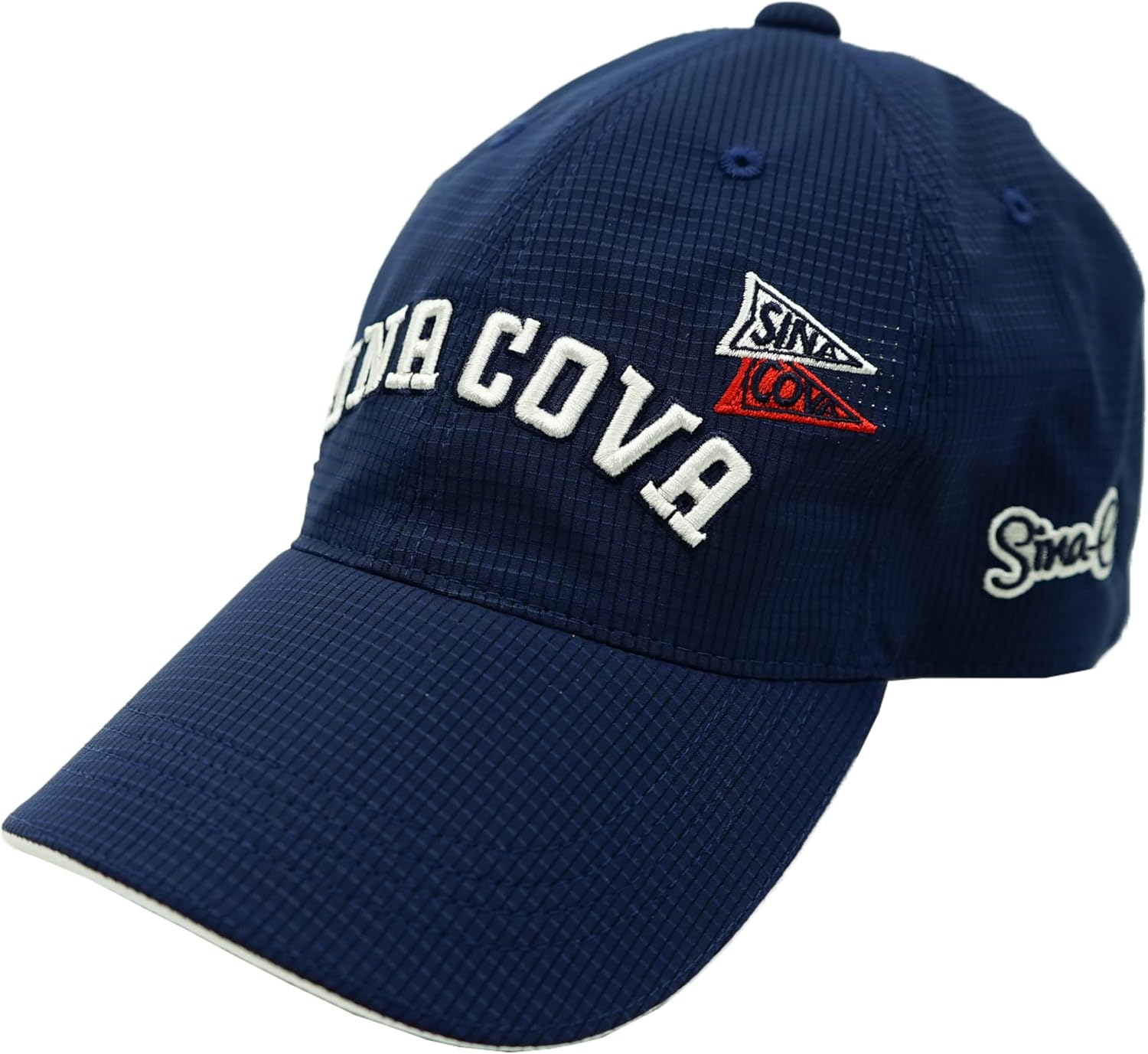 航空自衛隊ワッペン 日伊共同訓練 日豪共同訓練 パッチ オフィシャル