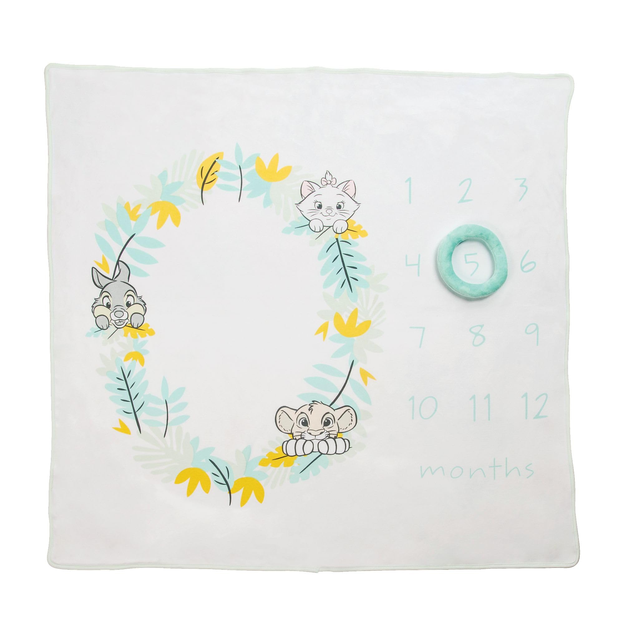 Enchanting Themed Milestone Photo Blanket Baby Shower Gift Disney Baby