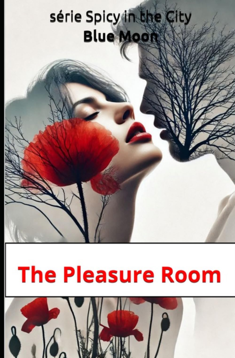 The Pleasure Room: série Spicy in the City (Spicy in the City (english edition))