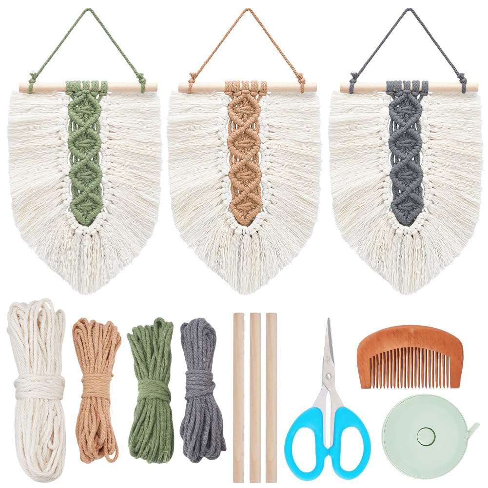 PLIGREAT 3 ensembles bricolage feuilles de macramé Kit de suspension murale Macramé Tapisserie tissée Plume débutant Tenture murale Kit pour chambre à coucher Salon appartement Decor