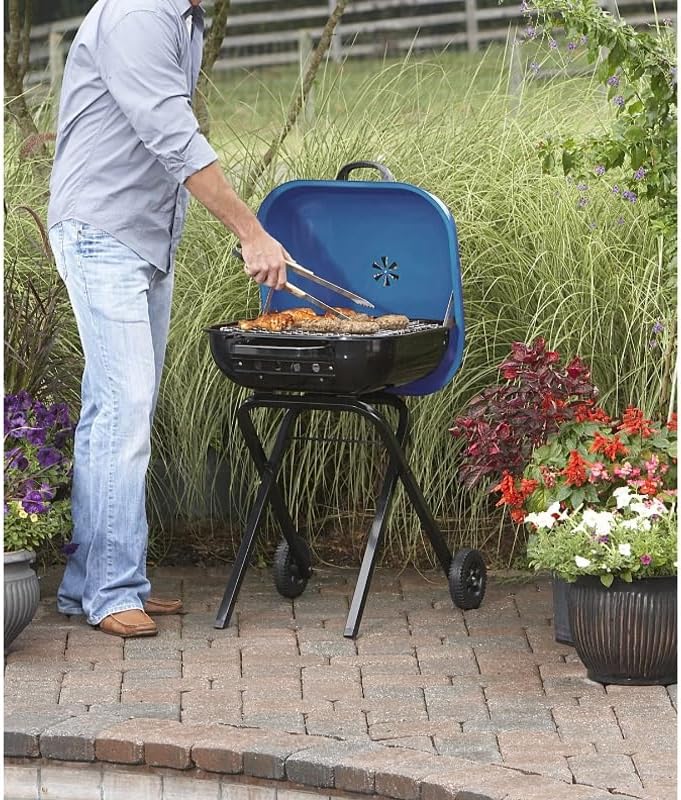 Walk-A-Bout Portable Charcoal Grill in BBQ Grills Outdoor