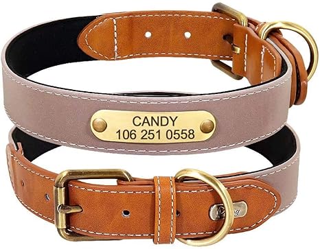 Bronze dog collar Clearance