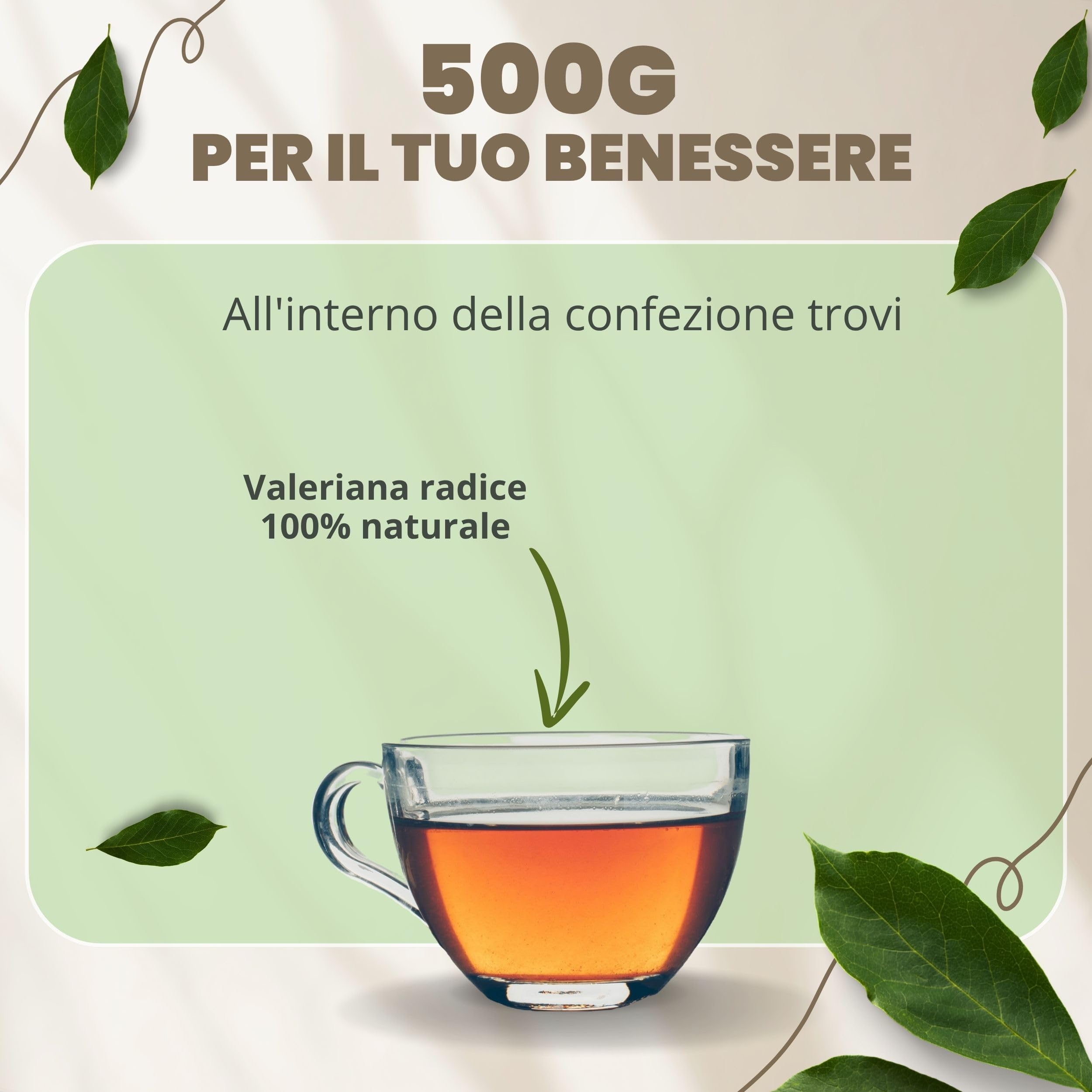 Valeriana officinale radice extra taglio tisana 500 g