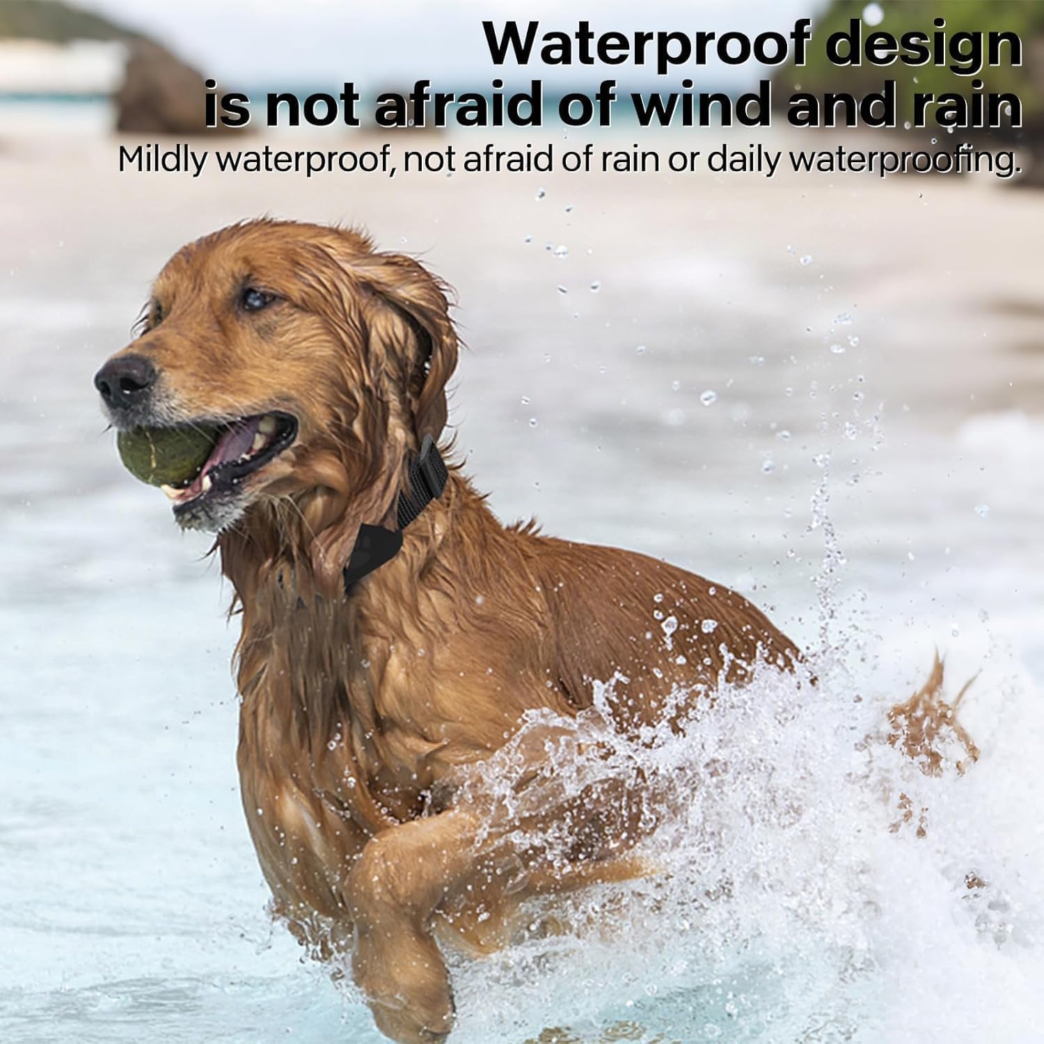 Collier GPS Chat Tracker Sans Frais - Localisez Votre Chat Facilement