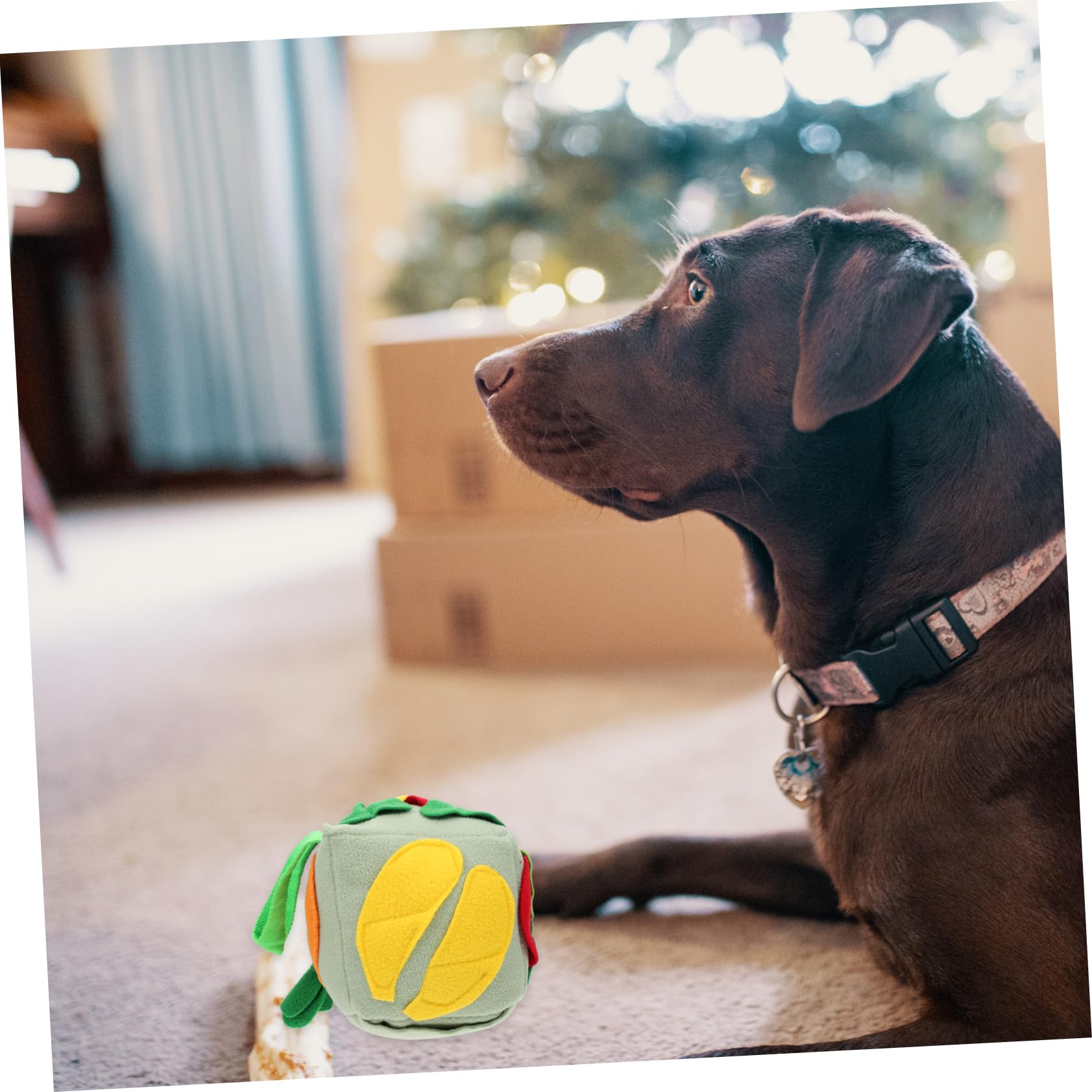 FRCOLOR 2stücke Hunde-schnüffelball Aus Strapazierfähigem Material Interaktives Futterspielzeug Für Training Und Beschäftigung Leckeres Spielzeug Für Kleine Und Große Hunde Fördert