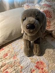 Peluche Weimaraner 'Cassie 16' De Douglas - Perro De Peluche Plateado/gris, Tamaño Mediano, Lavable