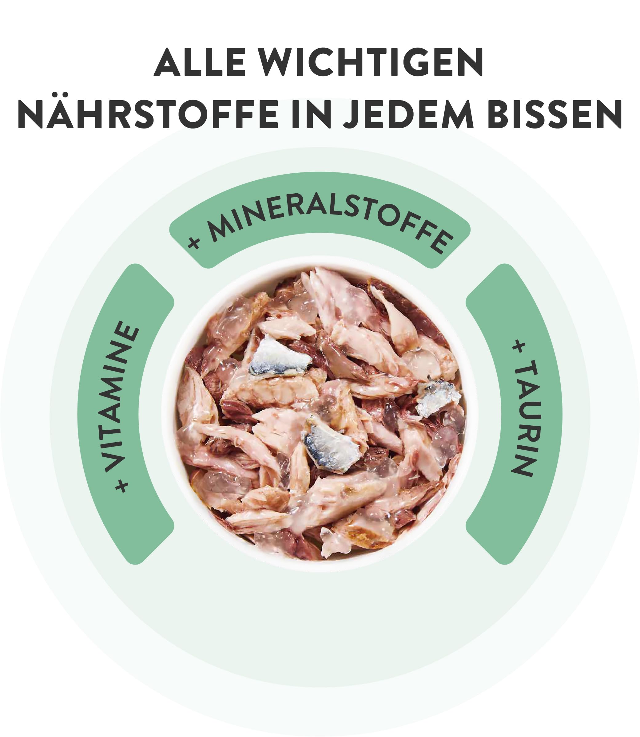 Schesir, Thunfisch mit Schinken in Gelee, Vollwertiges Nassfutter für Katzen, Mit Zugesetzten Vitaminen, 100% Natürlich, Cruelty-Free, 6 x 50 g
