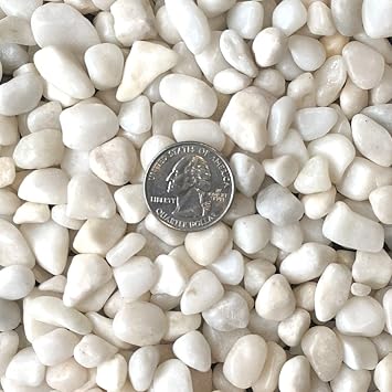 ROYAL SAPPHIRE Decorative Stone Natural Decorative Polished White Stone Decorative River Rock Stones Succulent Rocks 1 lbs