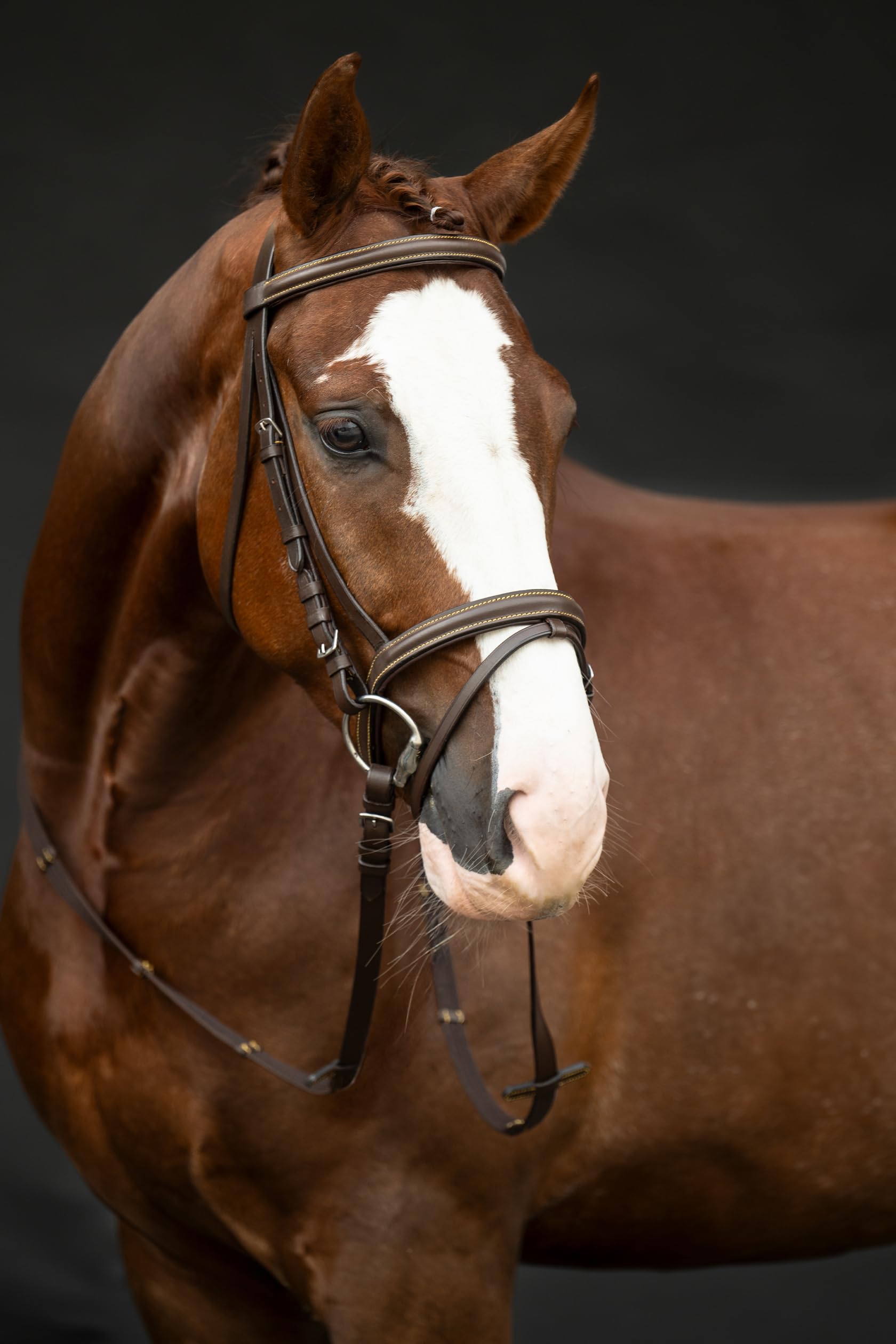 HKM 17422400.0914 Horse Riding Snaffle Lou, brown, shetland pony - Image 4