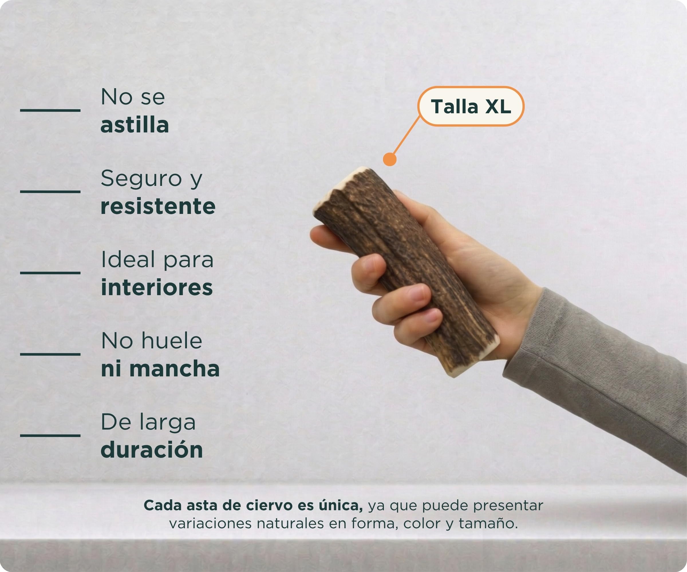 Wolf Belly - Asta de Ciervo para Perros 100% Natural (Talla XL) Mordedor Seguro y Duradero | Reduce Sarro y Placa | Rico en Calcio y Proteínas | Calma Estrés y Ansiedad | Sin Olor - Hecho en España