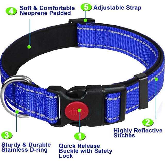 Foto 2 de 7 de Dog Collar, Reflective Adjustable Basic Dog Collar with Soft Neoprene Padding