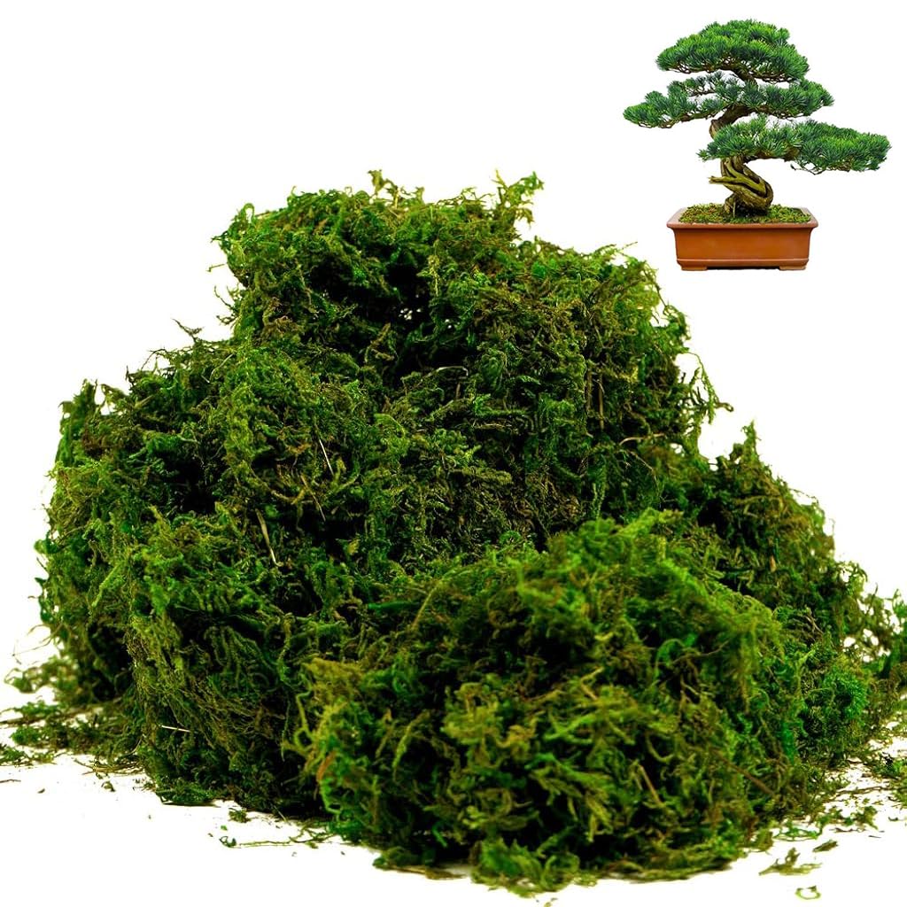 HASTHIP® Artificial Moss, Fake Moss for Crafts, Decorative Moss for Table Centerpieces Fairy Garden Wedding Party Decor, Faux Moss for Potted Plants (B0DCG7S2MF) Amazon Price History, Amazon Price Tracker