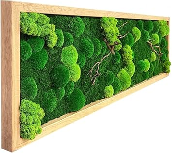 MoosSpirit Moosbild Moosbilder Wandbild mit 100 echtem Moos