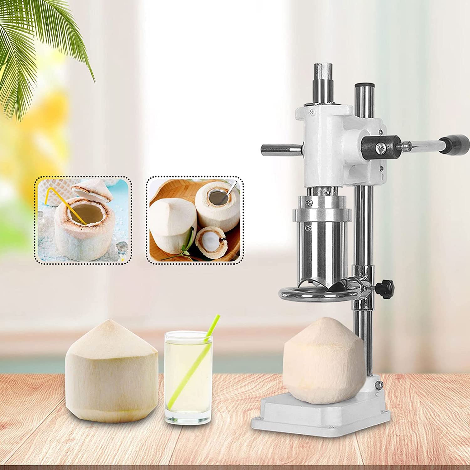 Amazon.com: ZXSYYDS Vertical Coconut Opener Tool,Manual Stainless