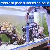 Ver la foto 2
