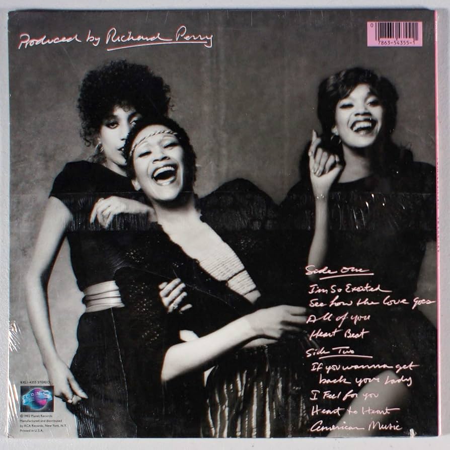 プロモ盤 Pointer Sisters Having a Party mqdefault.jpg