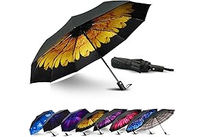 LLanxiry Umbrella: The Ultimate Protection from Rain for Women