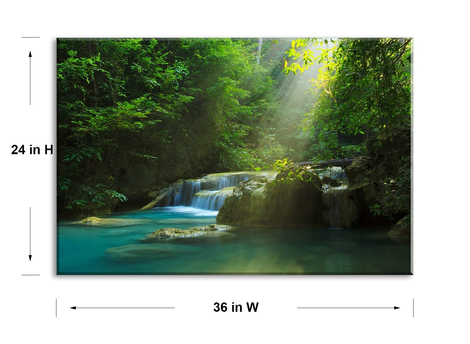 Amazon.com: Silent Summer Forest Landscape Stretched Canvas