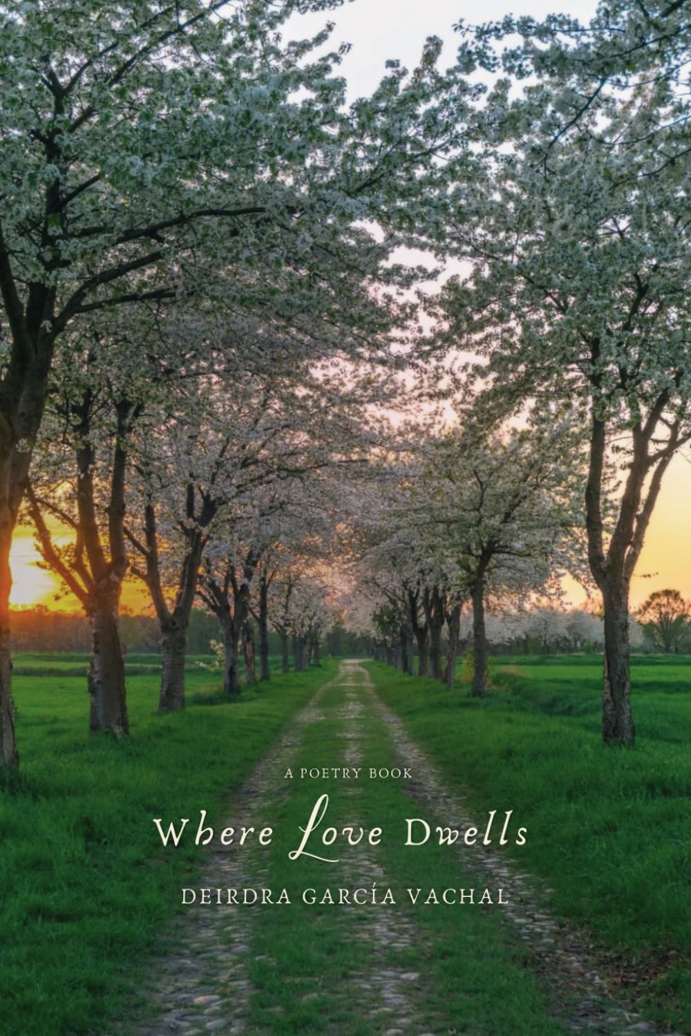 Where Love Dwells: A Poetry Book