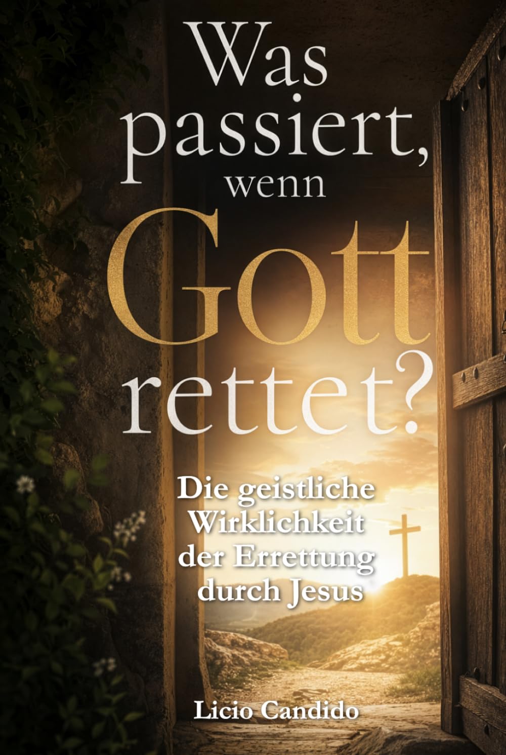 Was passiert, wenn Gott rettet?: Die geistliche Wirklichkeit der Errettung durch Jesus