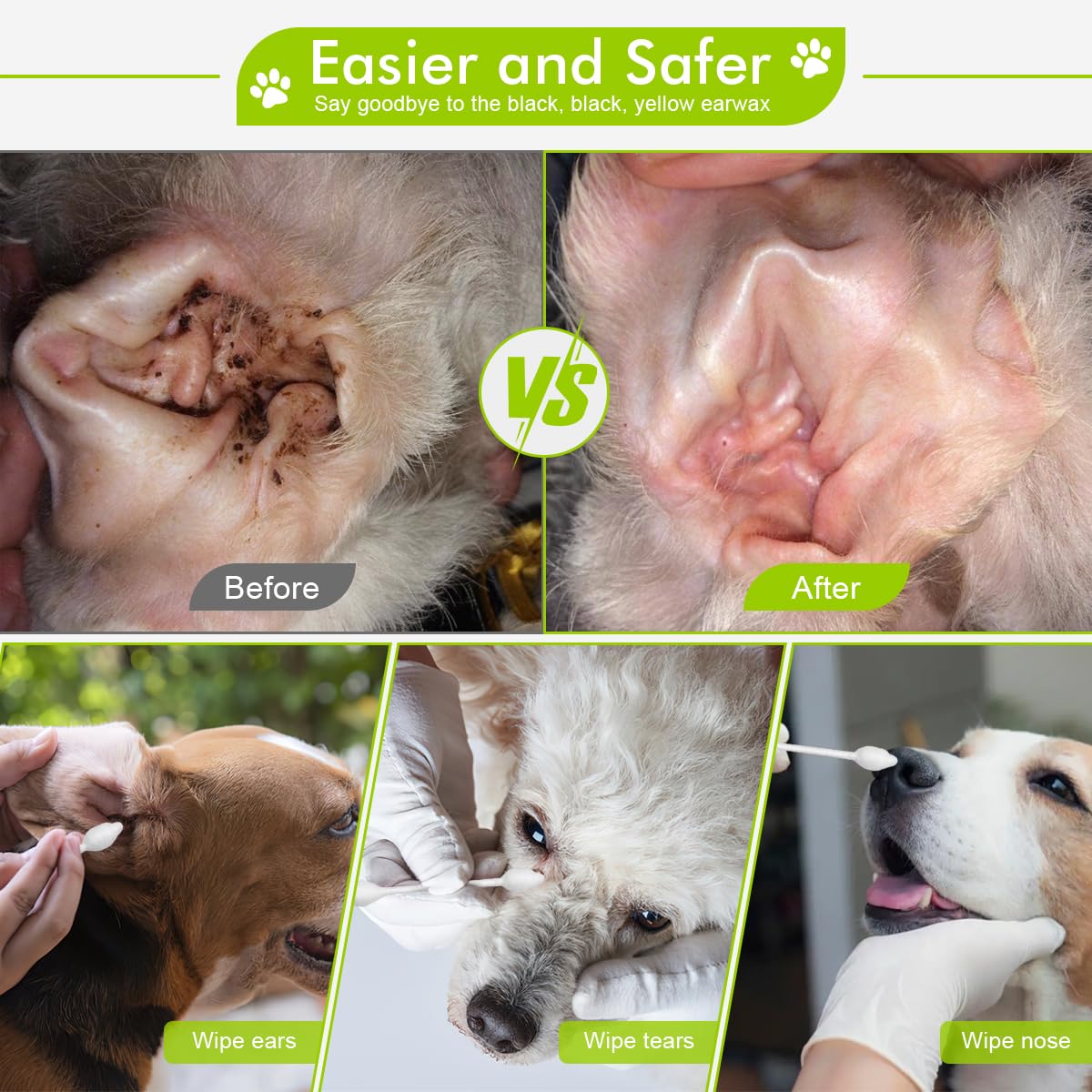 Cleaning schedule and prevention plan