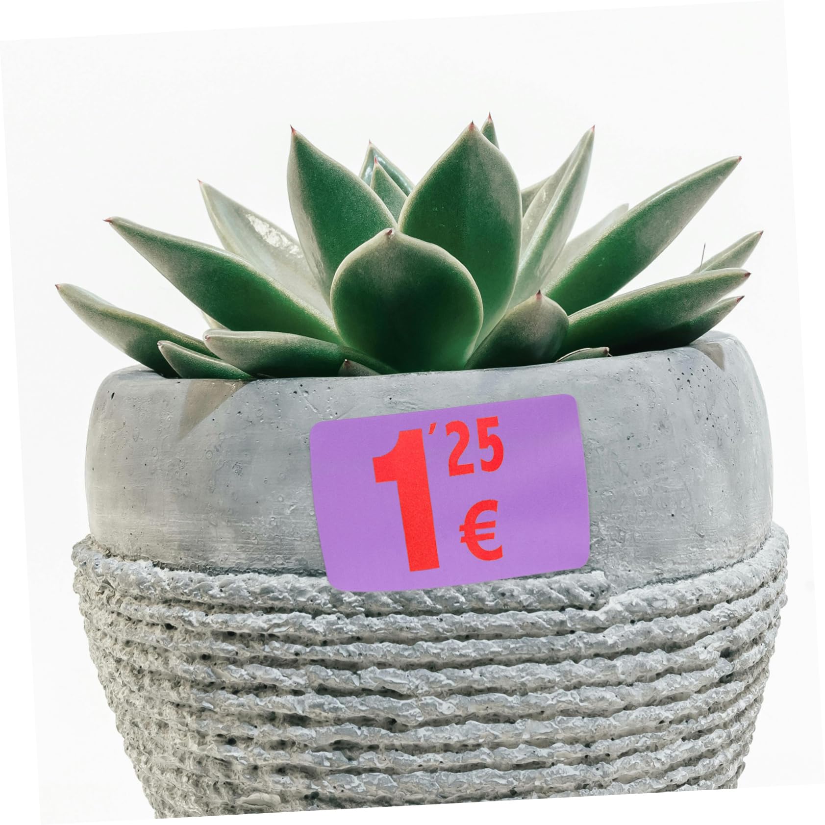 Tofficu 4rotoli Etichette Adesive Termiche Per Stampante Resistente All Etichette Riutilizzabili Per Indirizzi e Prezzi