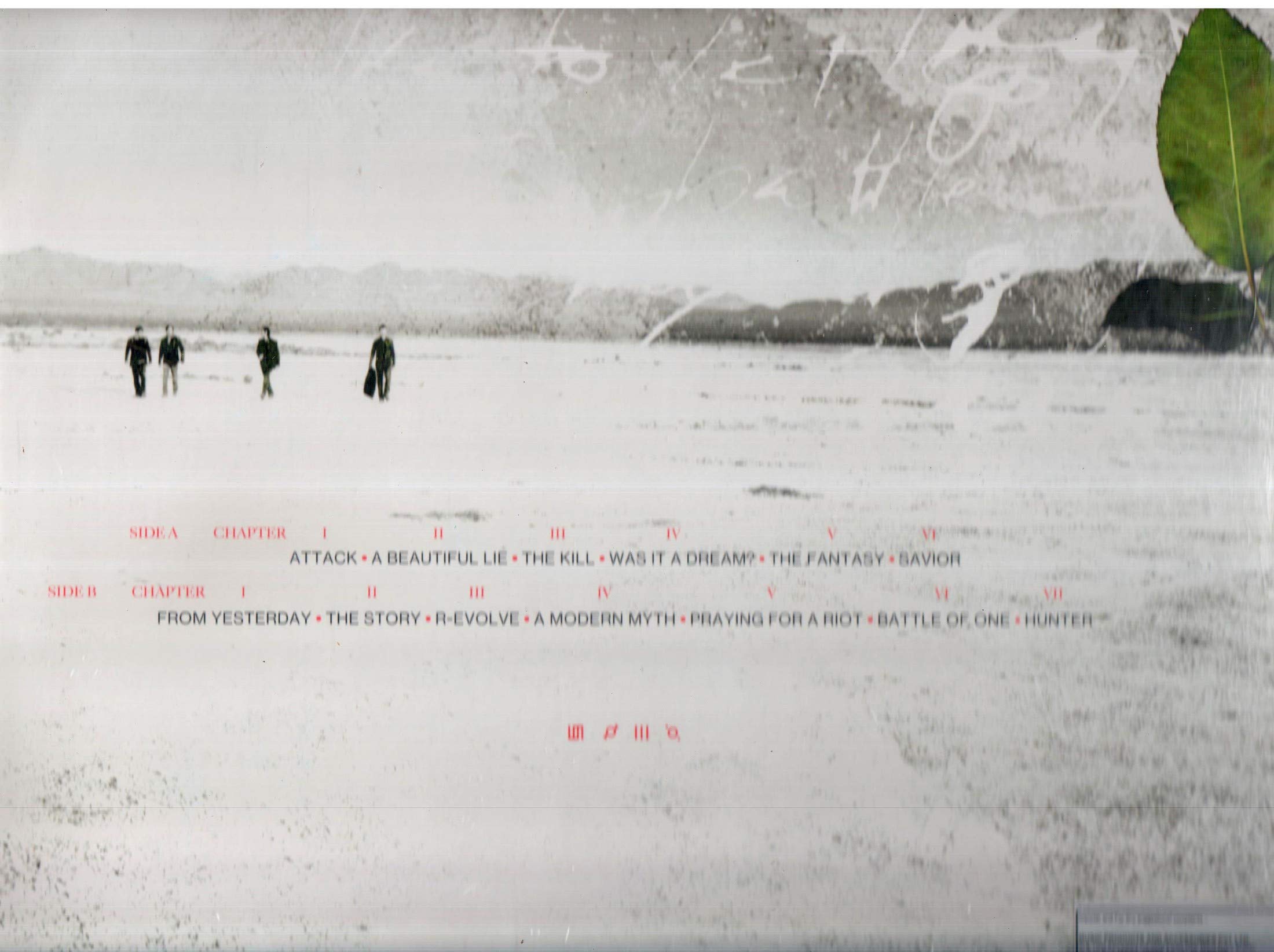 A Beautiful Lie