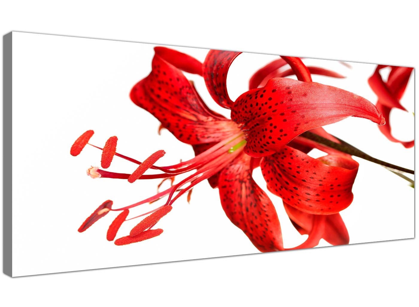 Wallfillers Red Canvas Prints of a Tiger Lily Flower - Floral Wall Art - 1052-120x50cm
