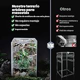 Ver la foto 7