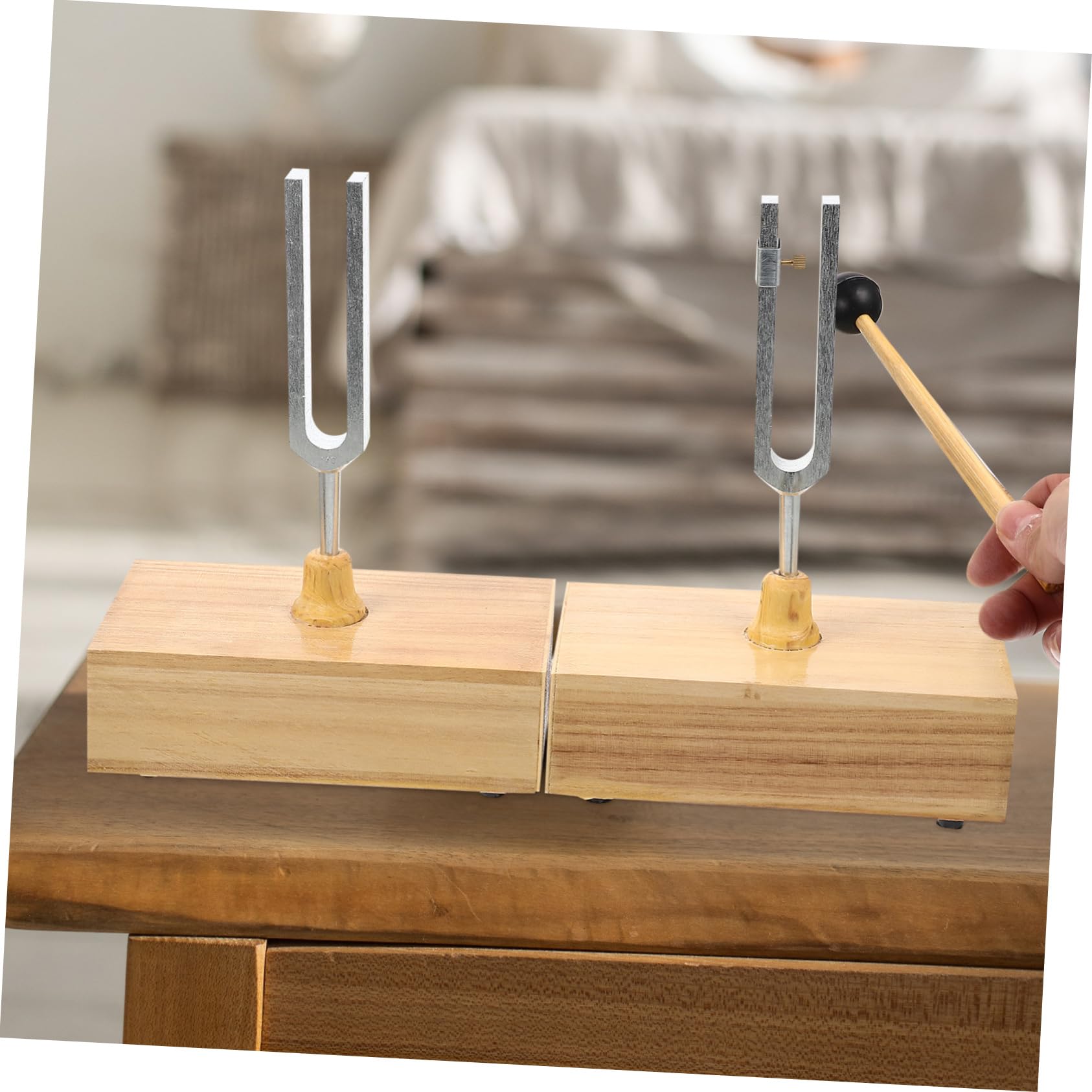 Stimmgabel 440hz Resonanz für Physik und Lehrversuche, 1 Satz | Metall und Holz, mit Hammer und Holzsockel, Klare Tongebung, Stabile Aufstellung