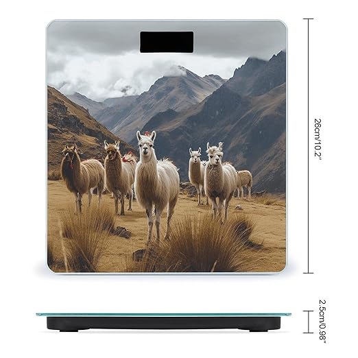 Báscula digital de baño VstaDank con pantalla LED miniatura 2
