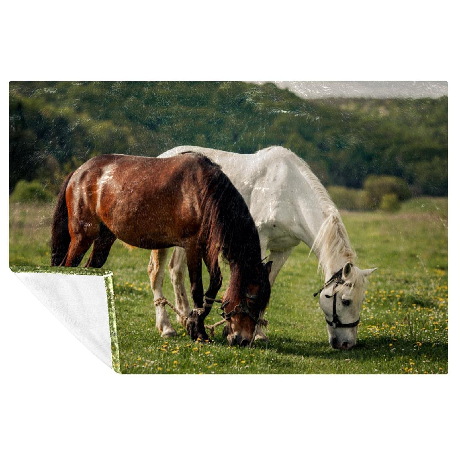 Couverture douce cheval 150x100 cm : grand plaid chaud pour lit enfant et pique-nique nomade