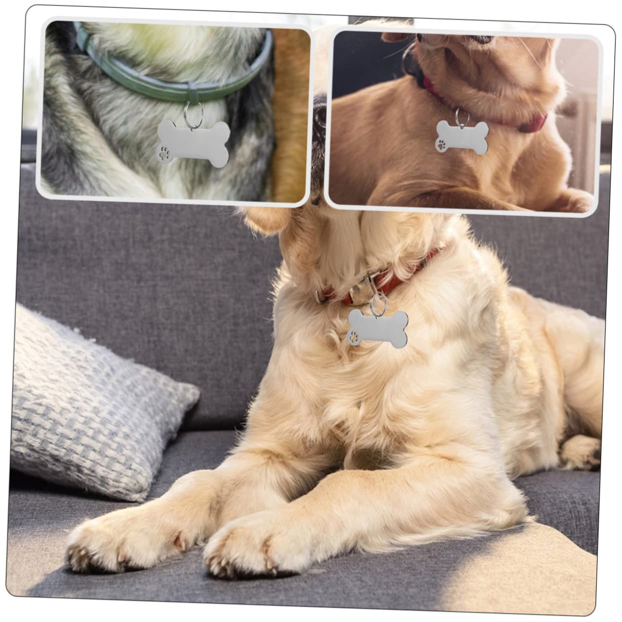 Kisangel 30pièces Médailles Identification pour Chiens Pendentifs Gravés Inoxydable pour Collier De Chiot Et Id Animaux