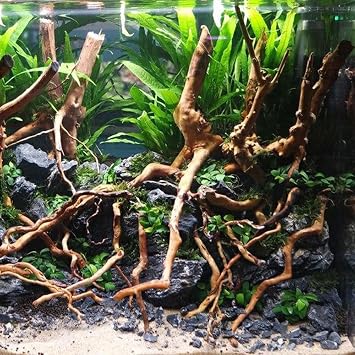 Natural Driftwood Root Trunk Tree Aquarium Fish Tank Root Tree Landscaping Decor,Randomly Bundle 10-30 CM,Fish Tanks, Terrariums, Aquascaping & Planted Tanks