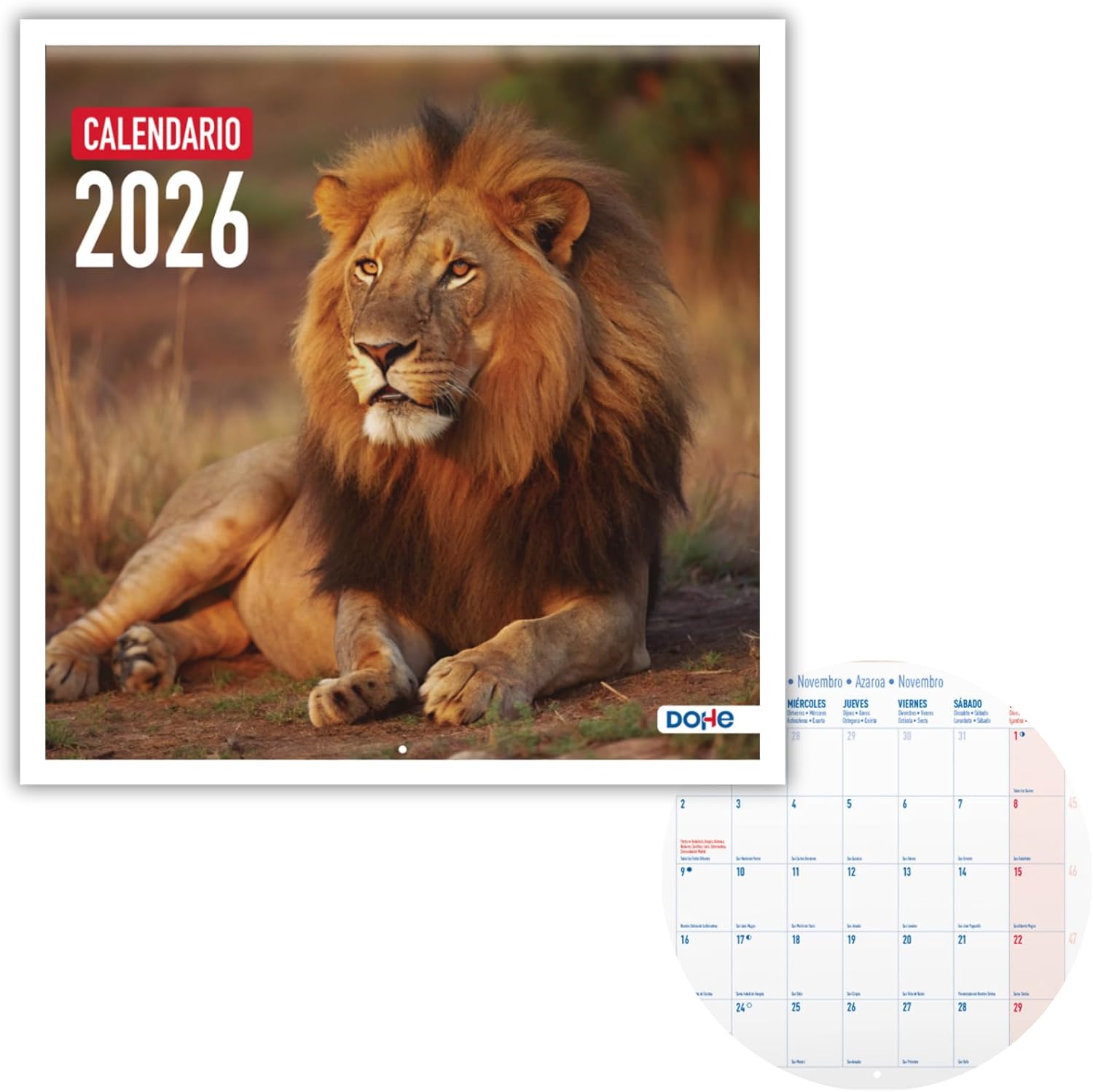Dohe Wall Calendar 2026-12 Months January to December Monthly View 30 x 30 cm Spanish Language Stapler Binding Space for Notes Year Planning Thick Paper 120gsm Exotic Birds