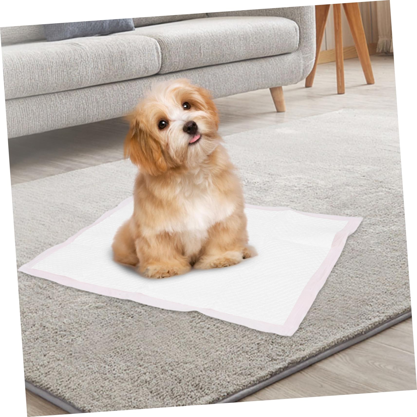 50piezas Almohadillas para Orinar para Mascotas Almohadillas Desechables Superabsorbentes De Gruesas y Resistentes Fugas para Entrenamiento De Cachorros Gatos y Conejos Casa