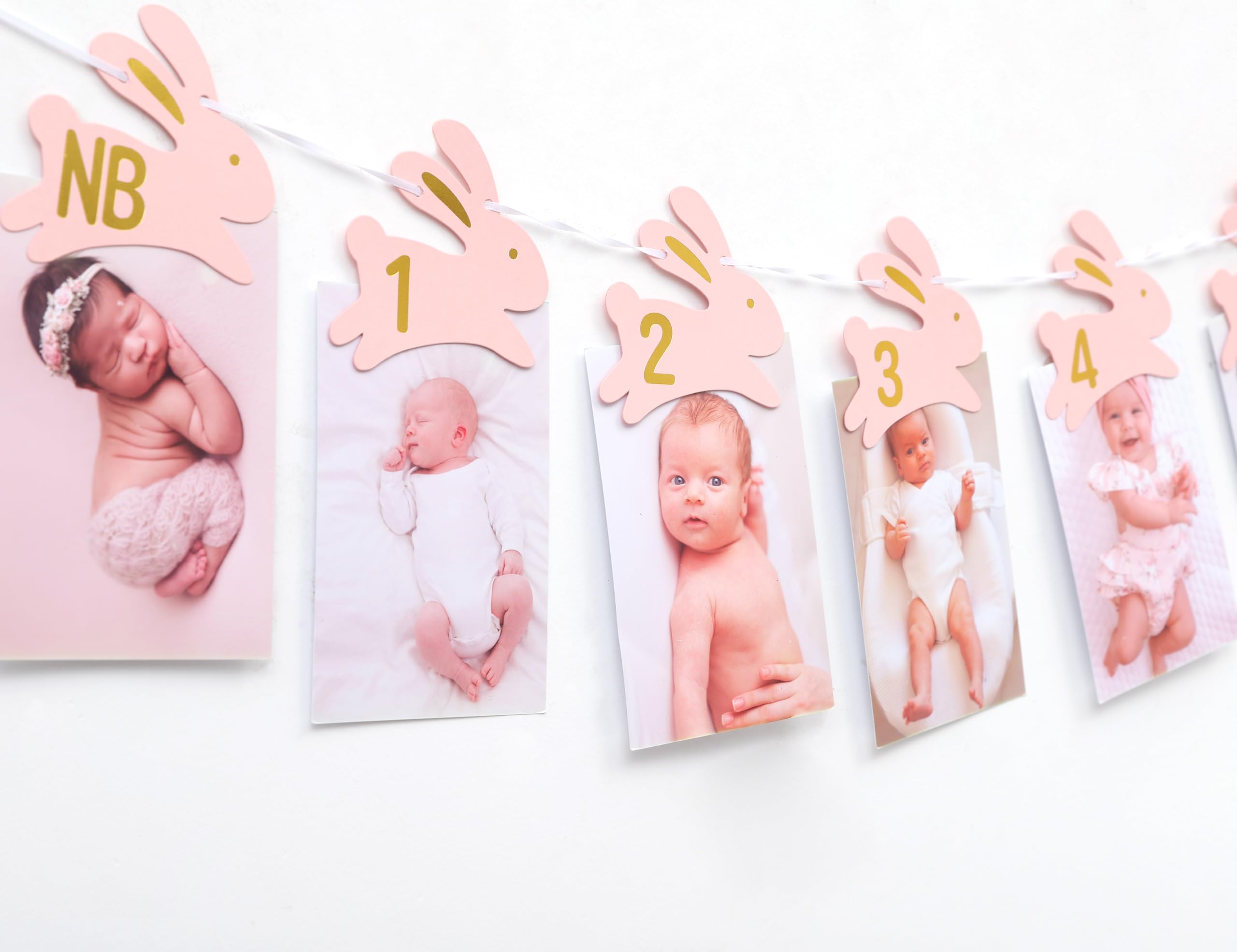 Bunny 1st Birthday Monthly Milestone Photo Banner - Some Bunny Is One Newbron to 12 Months Photo Banner for Grils, Easter 1st Birthday Decorations,