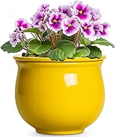 Vista 19 de Macetas de riego automático de 6 pulgadas para plantas de interior, macetas de cerámica violeta africana con maceta interior absorbente, maceta