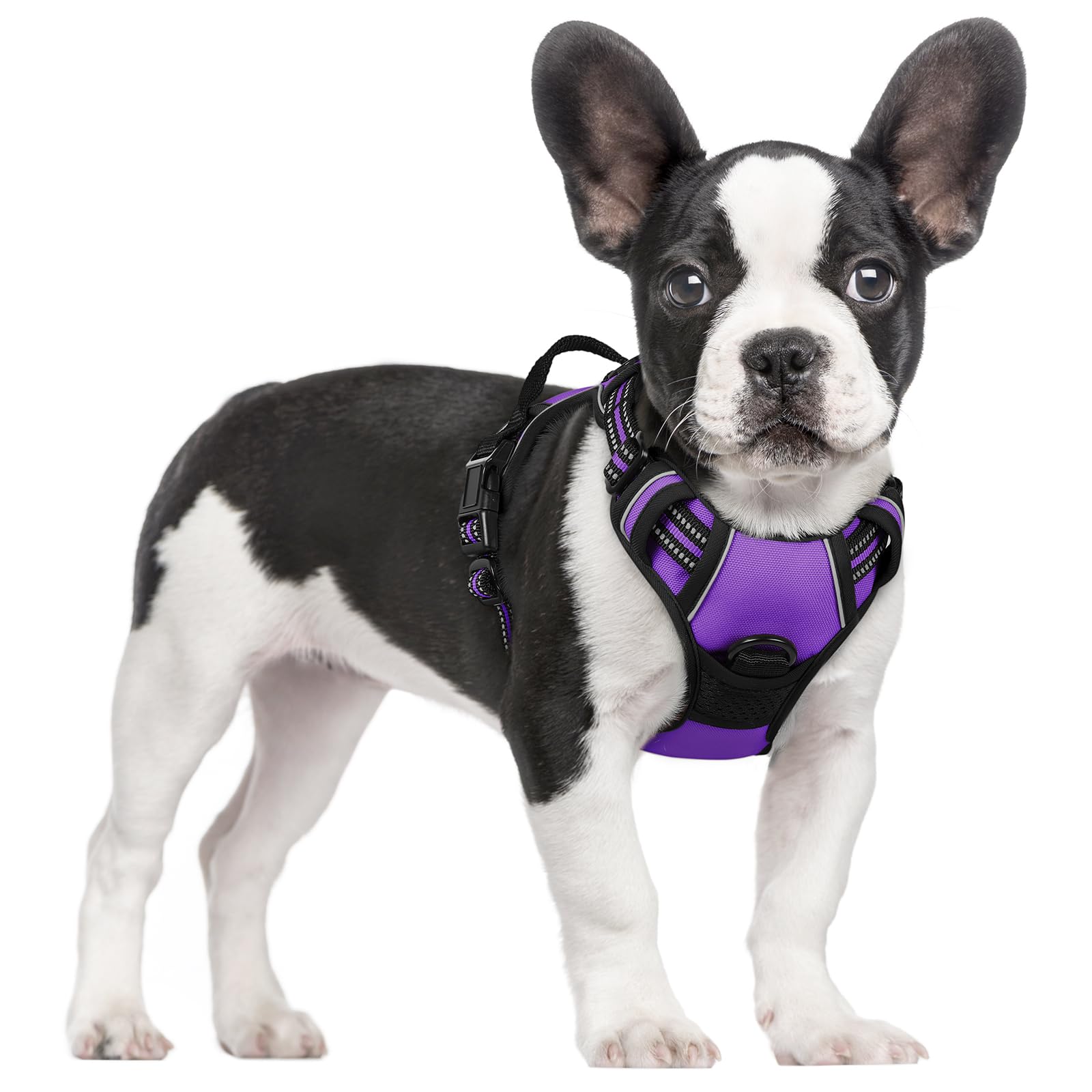 rabbitgoo Dog Harness No Pull with 2 Leash Clips, Adjustable Soft Padded, Reflective Oxford No Choke Pet Vest with Easy Control Handle for Small Dogs,