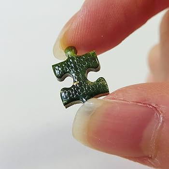 Amazon | 1000ピース ジグソーパズル 春の庭 マイクロピース (26x38cm