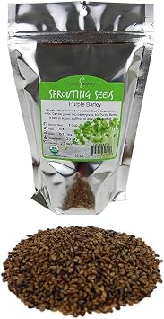 بذور الشعير الأرجواني - عضوي معتمد - 1 Lb Resealable Pouch - Handy Pantry Brand - No Hull - for Barleygrass، Grind for Flour، Food Storage، Soups & More