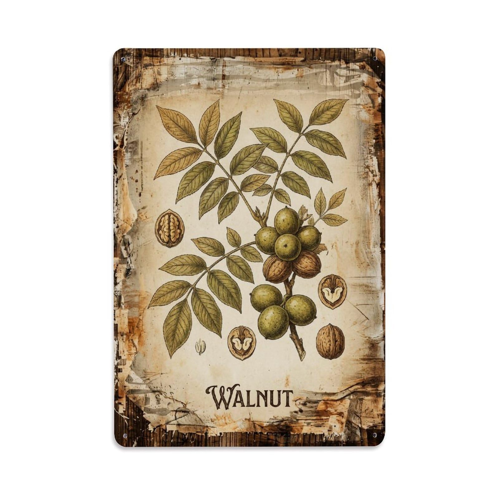Walnut Tree Nut 1 Vintage Metal Tin Sign Plaque Wall Decor for Cafe, Club, Garden Metal Poster 8x12Inch