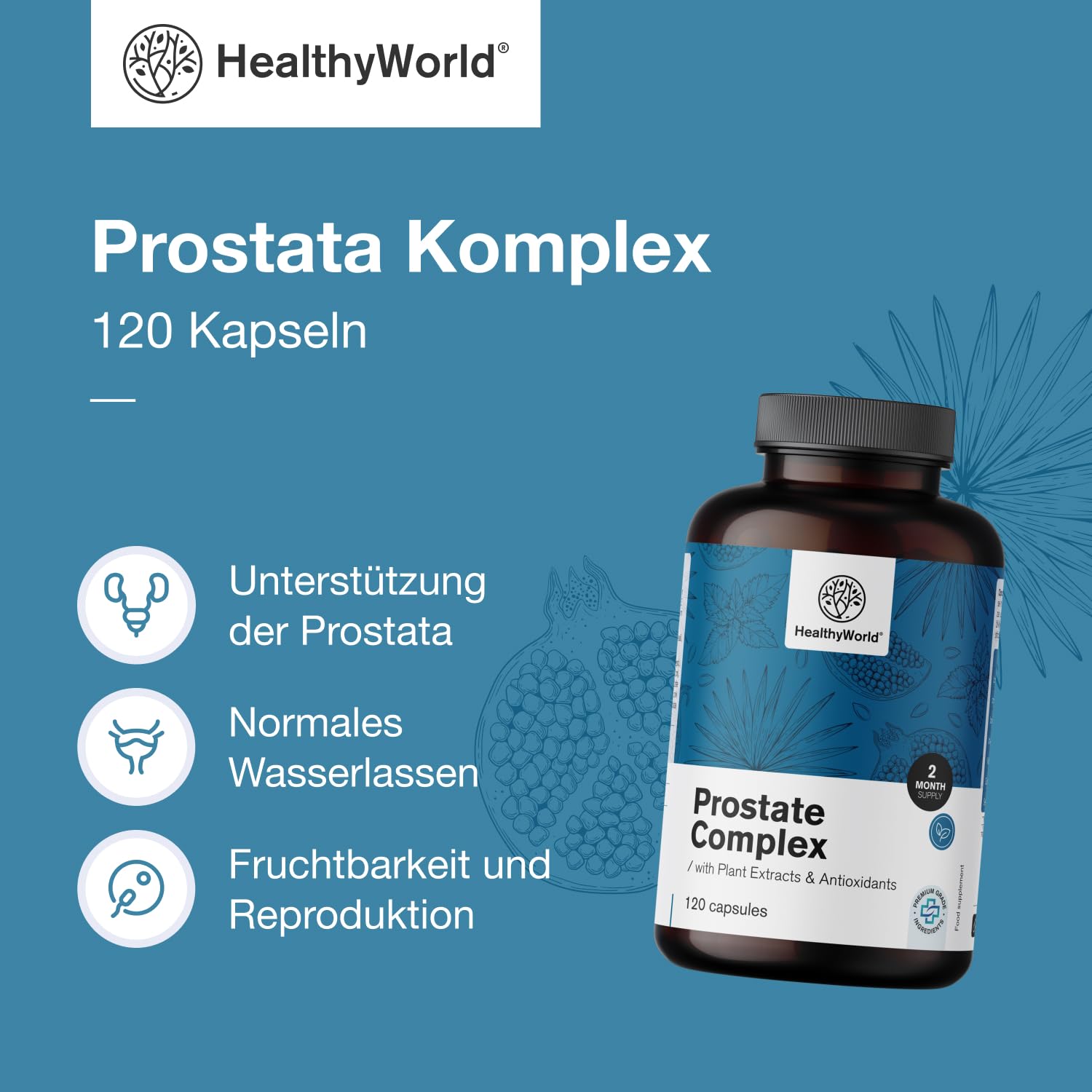 HealthyWorld® Prostata Komplex - Für Männer - 120 pflanzliche Kapseln - Mit Kürbiskernen, Granatapfel, Brennnessel, Sägepalme, Vitamin E, Zink und Selen - Unterstützung der Prostata