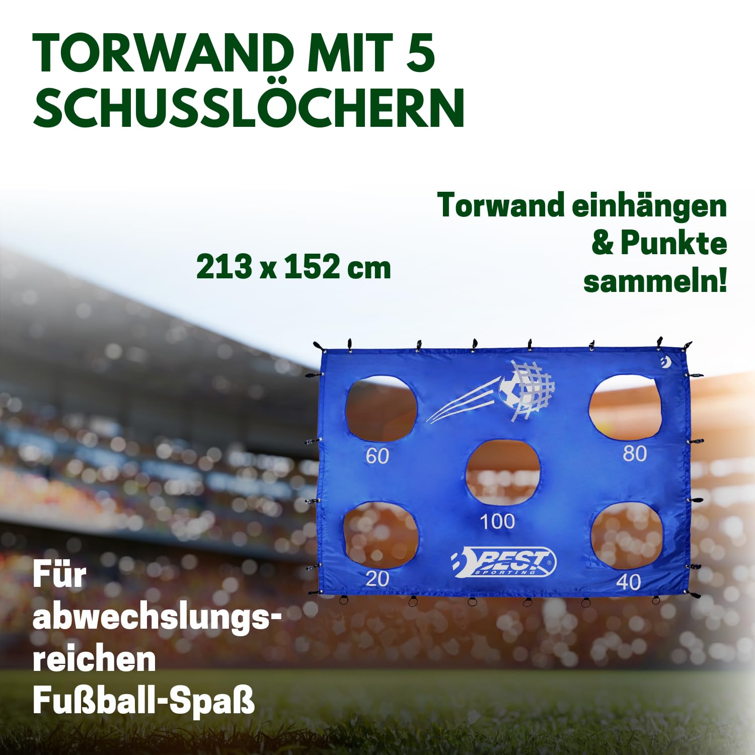 Best Sporting Torwand mit 5 Schusslöchern I Torschusswand 213 x 152 cm Passend für Fußballtore mit 240 x 170 cm I Fußball-Trainingswand I Outdoor-Torwand