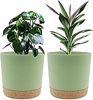 QCQHDU 8 Inch Plant Pots 2 Pack, Modern Plastic Planters with Drainage Holes & Saucers for Indoor Outdoor Plants Succulents Flowers