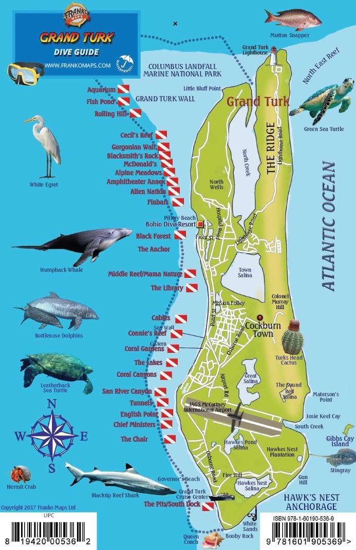 Grand Turk Dive Map - Turks & Caicos Reef Creatures Guide Franko Maps Waterproof Fish Card