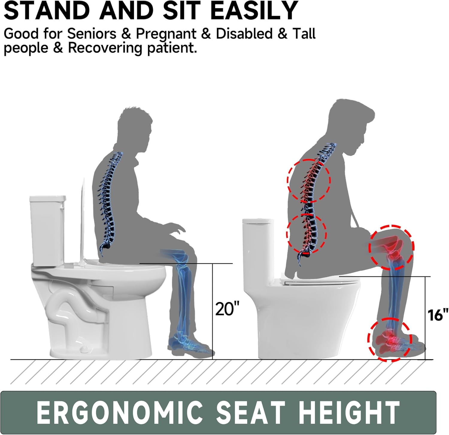19 Inch Compact Tall Toilet for Seniors, Tornado Flush Single Flush 1.28 GPF, Comfort ADA Height, Bowl Heigh 19", Seat Heigh 20",Two Piece High Toilet for Bathroom, 12” Rough In, White