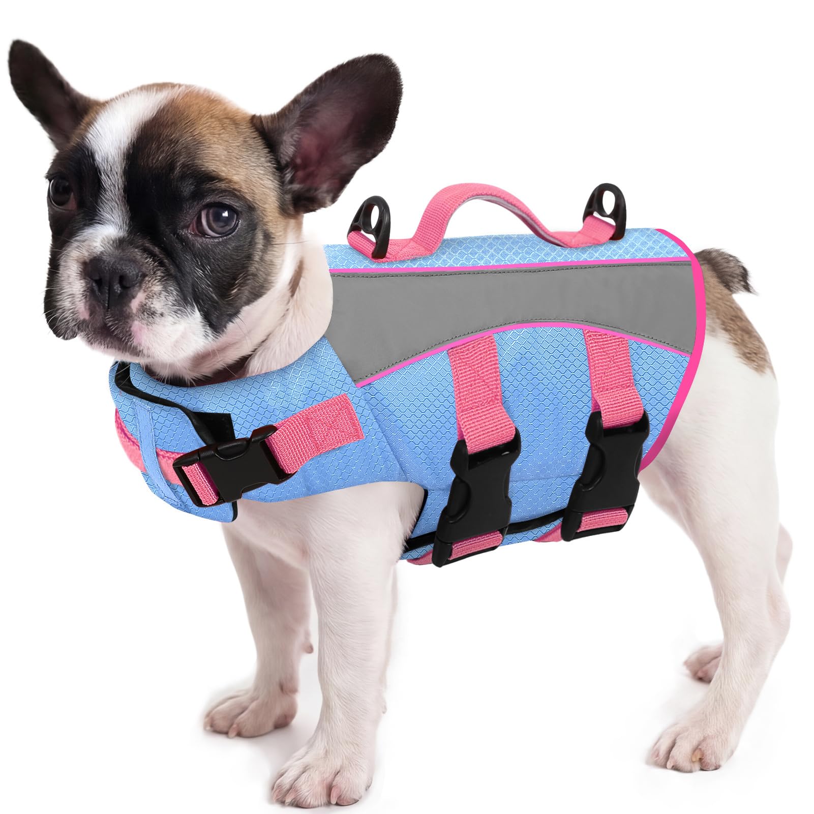 Queenmore Dog Life Jacket Large Adjustable Buoyancy Aid for Large Dogs Lightweight & Reflective Swimming Vest for Sausage Dog Large Breeds,Kayaking Pool Beach Accessories (Light Blue, L)