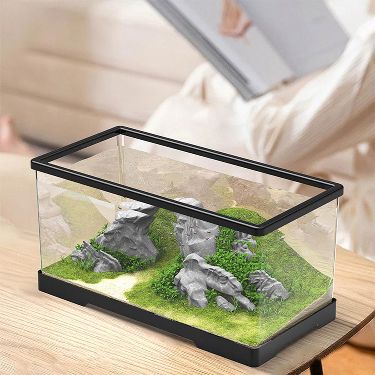 透明 海水 熱帯魚 水槽