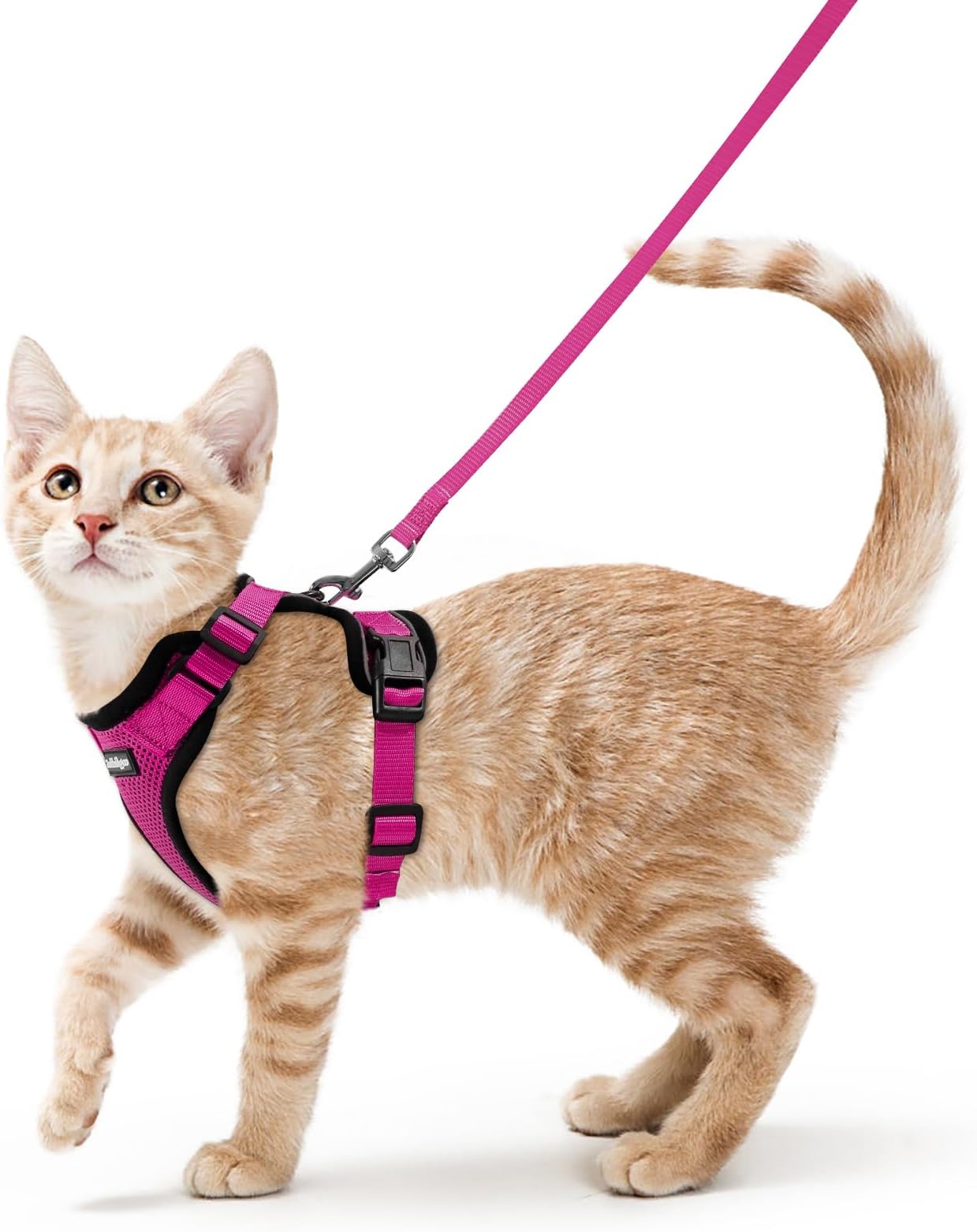 rabbitgoo Cat Harness and Leash for Walking, Escape Proof Soft Adjustable Vest Harnesses for Cats, Easy Control Breathable Reflective Strips Jacket, Rose Red,S